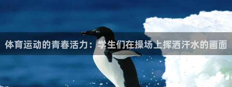 极速体育英超