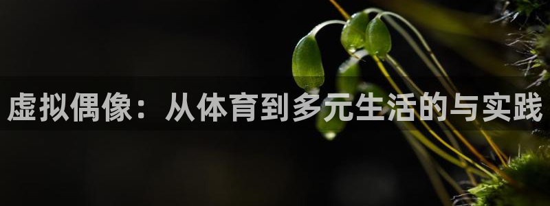 极速体育app
