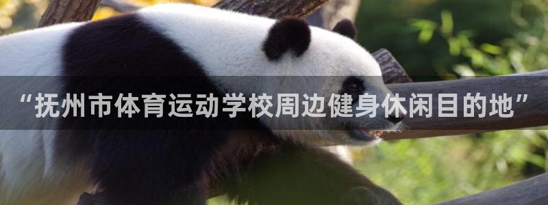 极速体育网页