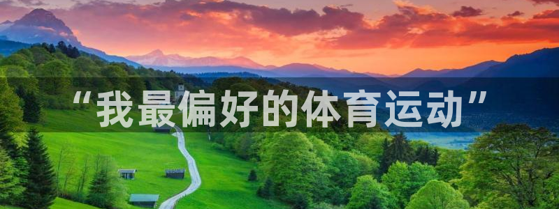 极速体育高清直播在线观看：“我最偏好的体育运动”