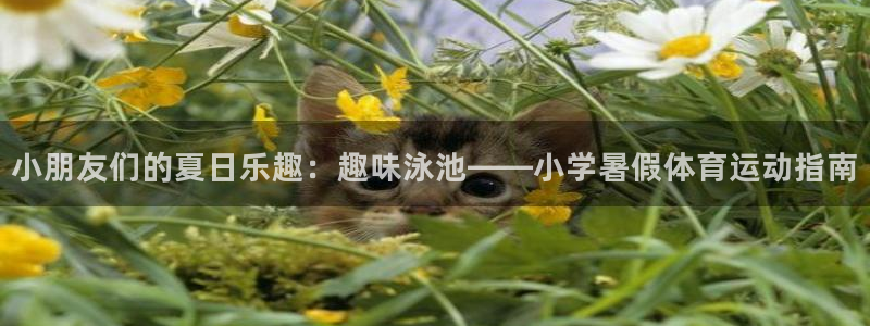 极速体育看球