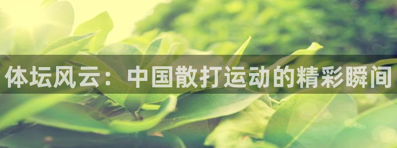 nba在线观看极速体育