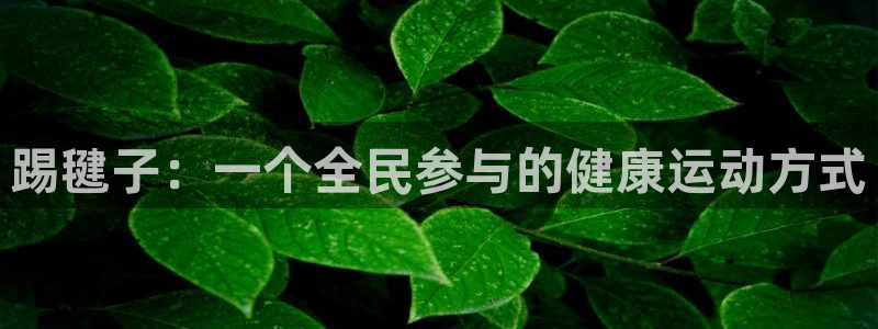 极速体育nba免费观看直播