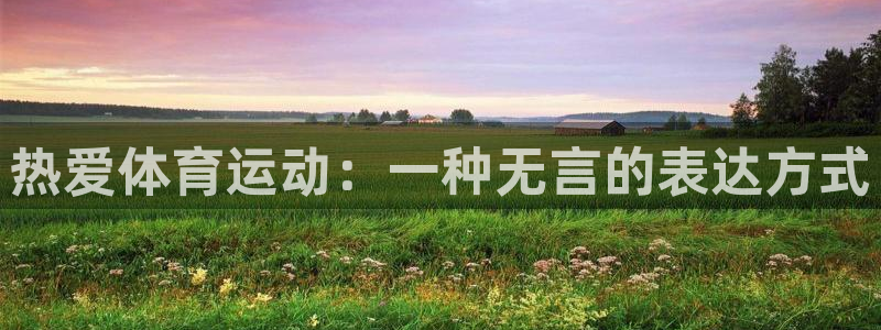极速体育篮球直播吧