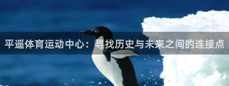 体育吧,极速体育：平遥体育运动中心：寻找历史与未来之间的连接点